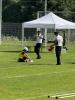 Bild-Thumbnail