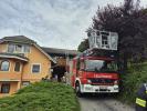 Bild-Thumbnail