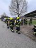 Bild-Thumbnail