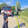 Bild-Thumbnail