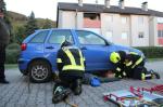 Bild-Thumbnail