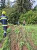 Bild-Thumbnail