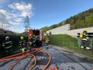 Bild-Thumbnail