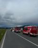 Bild-Thumbnail